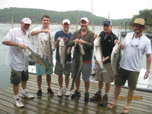 Nice Striped Bass